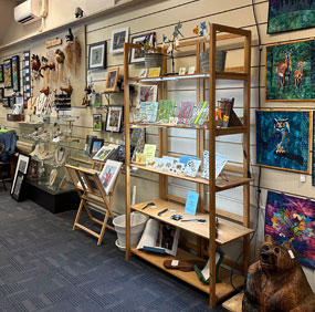 Carolina Mountain Artists Guild Store in Hendersonville North Carolina