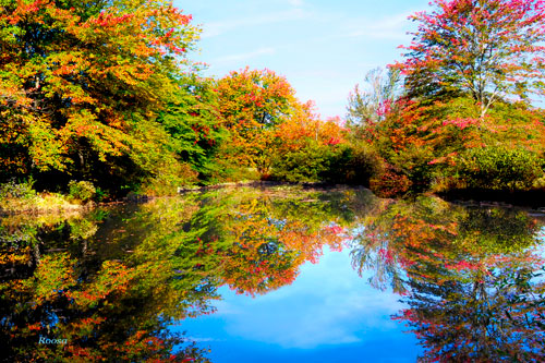 fallpondbccp4x6b110129