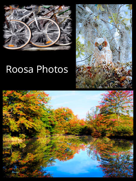 cmag featured artist lane roosa
